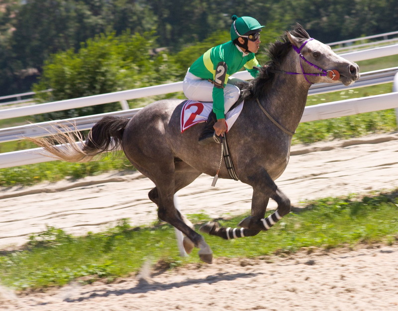 競馬 ブックメーカー